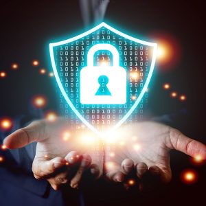 Seguridad